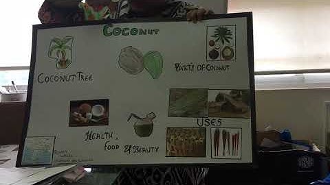 Ecce Government Certificate. Join Offline Online Best Course On How To Teach Kids. 📞+91 9833119953