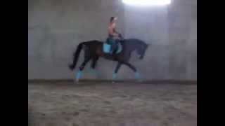 SANY0930