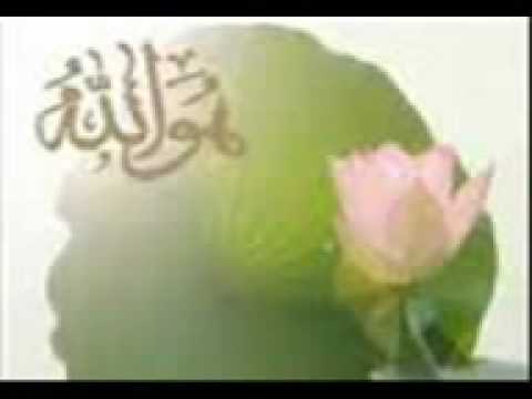 Tariq Jameel latest Bayan Sweden part 5