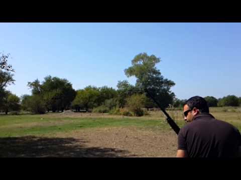 თეფში და კონტეინერი