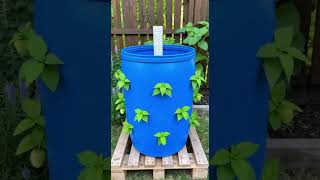 Questa semplice azione cambia tutto per una crescita continua giorno e notte