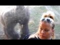 Gorilla Brings Me Flowers Then Tries To Eat The Candy at Omaha Zoo