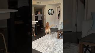 Favorite Parent Challenge