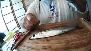 Rigging a Weighted Circle Hook Ballyhoo