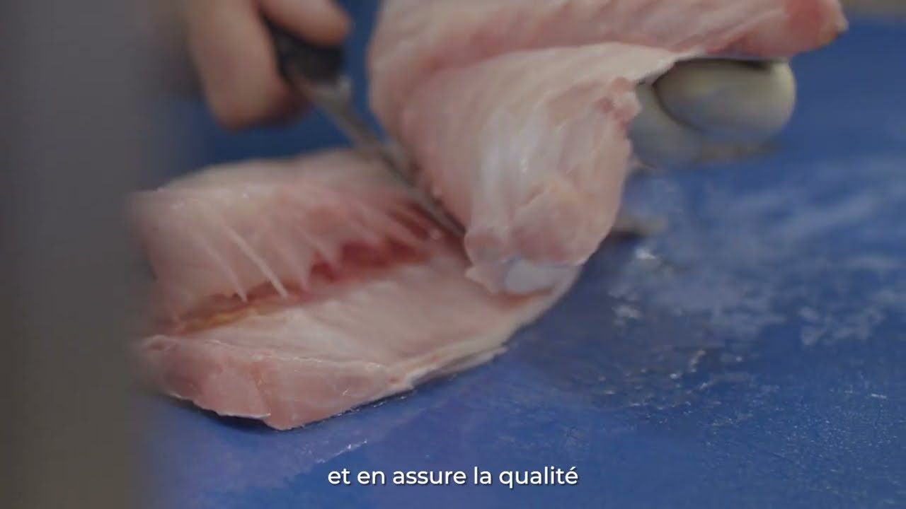 BLMED   MAREYAGE   SOUS TITRES