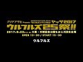 ウルフルズからのコメント公開!
