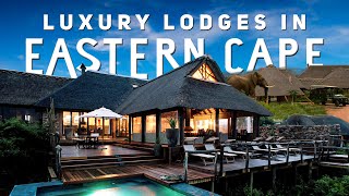 Luxury Lodges in Eastern Cape | South Africa