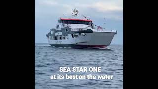 Sea star 1at its best on the water