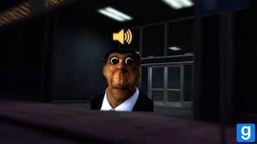 Gmod Proximity Chat is terrifying