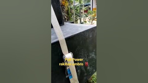 Story