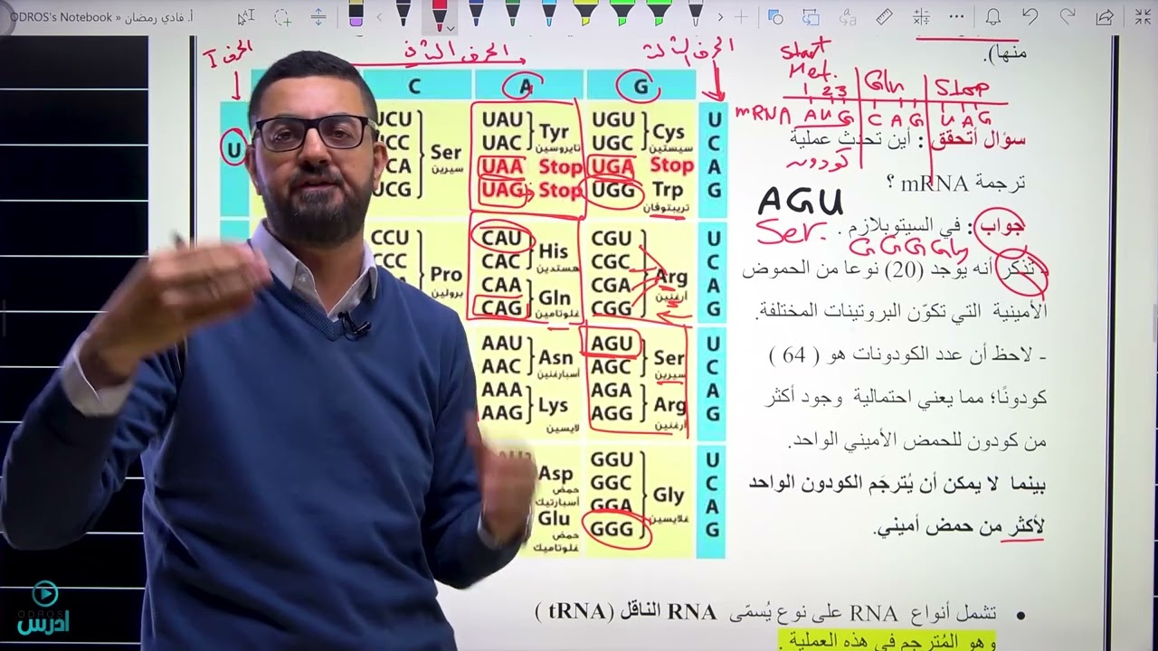 عملية الترجمة في تصنيع البروتين