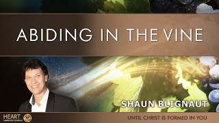 Abiding in the vine - session 1 (audio)