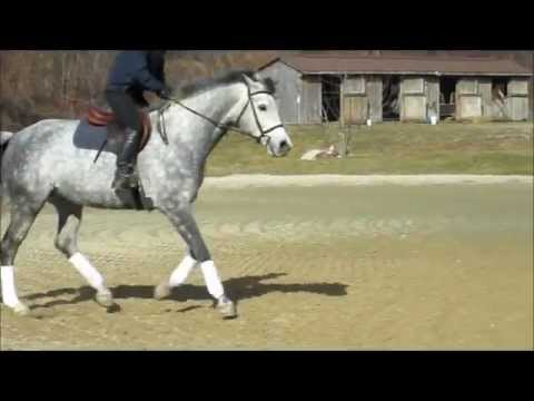 Sold Fancy 3 Hunter For Sale Hack Winner Youtube