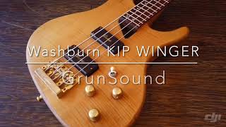 Washburn KIP WINGER SIGNATURE MODEL -GrunSound- 商品紹介 No.102