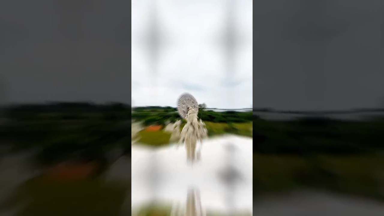 Drishtti vinayagan🔱🙏|#ganapathi #shorts #trendingshorts #viralshort #fyp