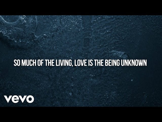 Hozier - Unknown / Nth (Official Lyric Video) class=