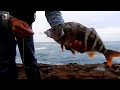 Como pescar en las rocas con línea de mano / pesca sobre rocas