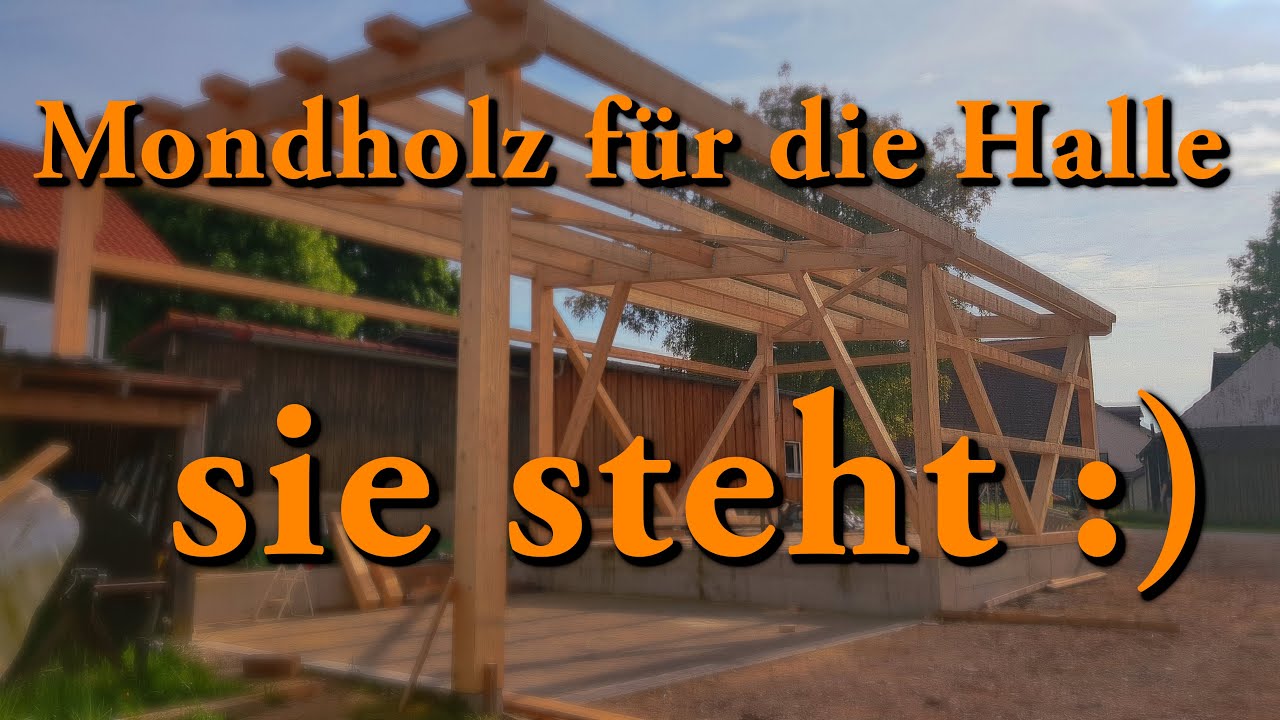 Mondholz für die Halle - es geht vorwärts -