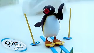 Pingu's Explorations  | Pingu  Official Channel | Cartoons For Kids