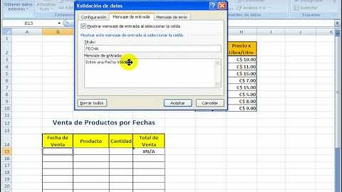 Lista Desplegable y Validación de Datos en Excel 2007