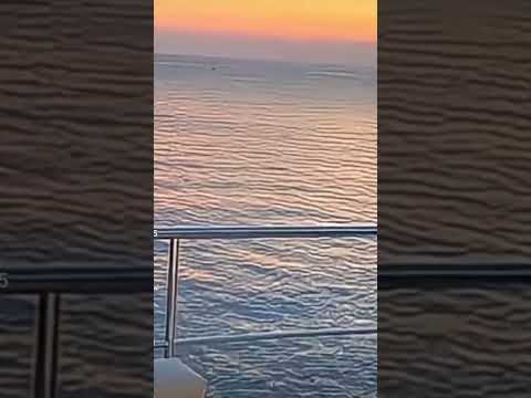 كبر خمسين بالمئة