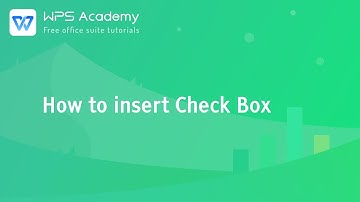 [WPS Academy] 2.9.3 Excel: How to insert Check Box