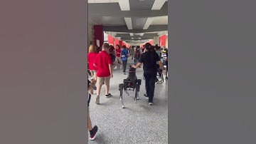 Robot Dog for the Visually Impaired