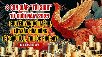 3 Con Giáp  “Tái Sinh” Từ Cuối Năm 2025: Chuyển Vận Đổi Mệnh, Lột Xác Hóa Rồng, Tết Giàu Ú Ụ.
