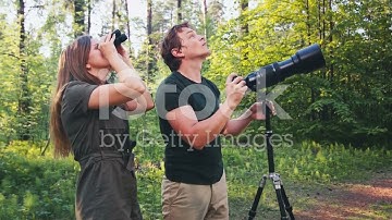 Mastering Bird Counting with eBird