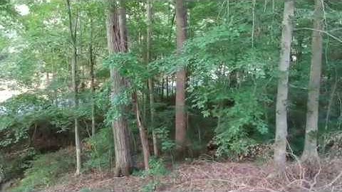 DJI Spark Avoiding Trees and Obstacle Avoidance Testing