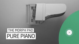 Pure Piano - Morph Pad Overview screenshot 3