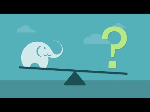 Video: How Much Does An Elephant Weigh