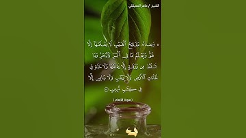 #قران_كريم #قرآن #راحة_نفسية #بصوت الشيخ ماهر المعيقلي #سوره الانعام #اذكار #اكسبلور #قرآن #دويتو