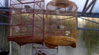 VID 20140102 00025