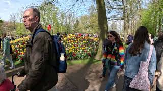 Keukenhof NL 2024