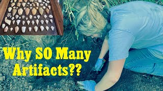 Arrowheads, Blades, and Fire Pits Found At Ancient Native Camp!