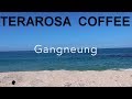 TERAROSA coffee company - 테라로사커피 - South Korean outstanding coffee culture