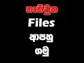 How to Recover Deleted Files | නැති වුන Files ආපහු ගන්නේ මෙහෙමයි | iMyFone