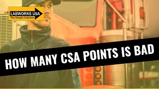 How Many CSA Points Is Bad - How to Understand and Improve Them in 2024