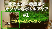 Ledライト付きウォーターサーバー ボトルアクアリウム 作り方 ダイソーアイテムでメダカ ベタ用ボトルアクアリウム作成 How To Make A Bottle Aquarium Youtube Ledライト付きウォーターサーバー ボトルアクアリウム 作り方 ダイソーアイテムでメダカ ベタ用ボトルアクアリウム作成 How To Make A Bottle Aquarium Youtube