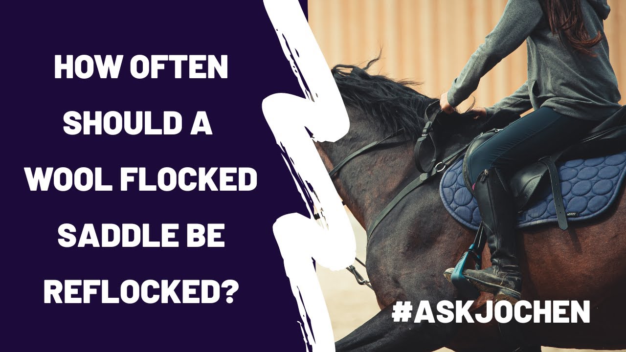 Wool Flocked Saddles |#ASKJochen | Livestream Q&A Excerpt - YouTube