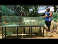 un acuario con 2000 peces guppy y 3 koi destructores lo que puede ocurrir