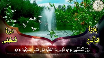 سورة (المطففين )تلاوة هادئه ترتاح بها النفس ويلين بها القلب Quran karim