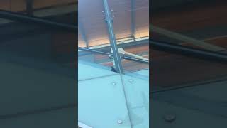 Crow stuck front escalator