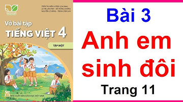 Vở Bài Tập Tiếng Việt Lớp 4 Kết Nối Tri Thức Bài 3 Anh Em Sinh Đôi Trang 11