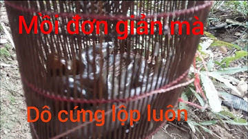 #đătlôpcabongdưa#dovannam-Chia Sẽ Cách Làm Mồi Đặt Cá Bóng Dừa Rất Đơn Giản Đâu Cũng Có