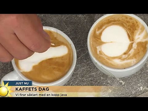 Jenny Och Steffo Bryter Ihop Över Ekivokt Kaffe - Nyhetsmorgon