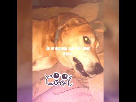 Major Twchtak Bzaf Anthrax Baba Et Lwalida