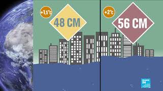 Urgent Action Needed To Avoid Climate Disaster, Key UN Report Warns
