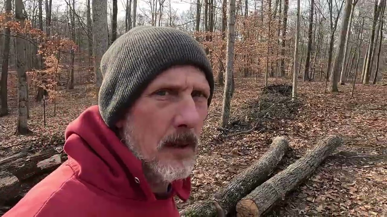 How We Haul Massive Logs with Just a Little Tractor and Log Wagon